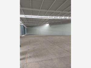 Bodega en renta en San Bartolome Tlaltelulco, Metepec — foto 3 de 8
