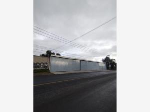 Bodega en renta en San Bartolome Tlaltelulco, Metepec — foto 2 de 8