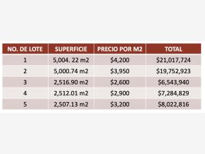 Terreno en venta en San Lorenzo Teotipilco, Tehuacán — foto 3 de 3