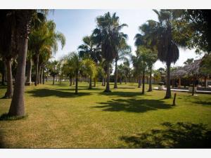 Finca-Rancho en venta en Oacalco, Yautepec — foto 2 de 27
