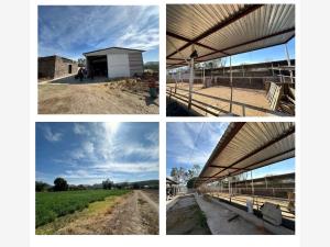 Terreno en venta en El Lobo, El Marqués — foto 3 de 3