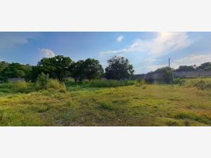 Terreno en venta en Hermosa, Xoxocotla — foto 3 de 22