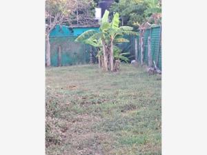 Terreno en venta en La Ribera, Tampico Alto — foto 2 de 9