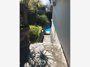 Casa en venta en Insurgentes, Cuernavaca — foto 3 de 17