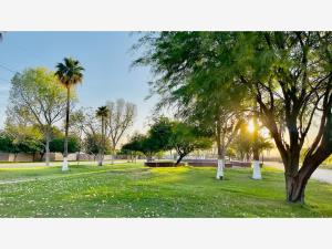 Terreno en venta en Las Trojes, Torreón — foto 2 de 16