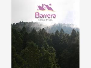 Terreno en venta en Mineral del Monte Centro, Mineral del Monte — foto 3 de 16