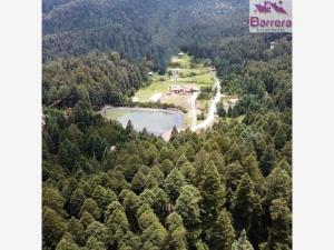 Terreno en venta en Mineral del Monte Centro, Mineral del Monte — foto 2 de 11
