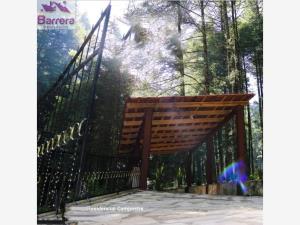 Terreno en venta en Mineral del Monte Centro, Mineral del Monte — foto 3 de 11
