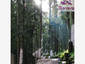 Terreno en venta en Mineral del Monte Centro, Mineral del Monte — foto 3 de 16