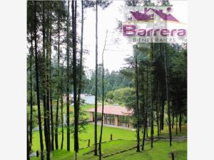 Terreno en venta en Mineral del Monte Centro, Mineral del Monte — foto 2 de 10