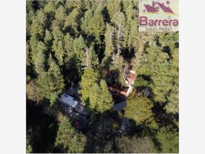Terreno en venta en Mineral del Monte Centro, Mineral del Monte — foto 3 de 12