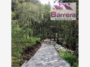 Terreno en venta en Mineral del Monte Centro, Mineral del Monte — foto 2 de 12