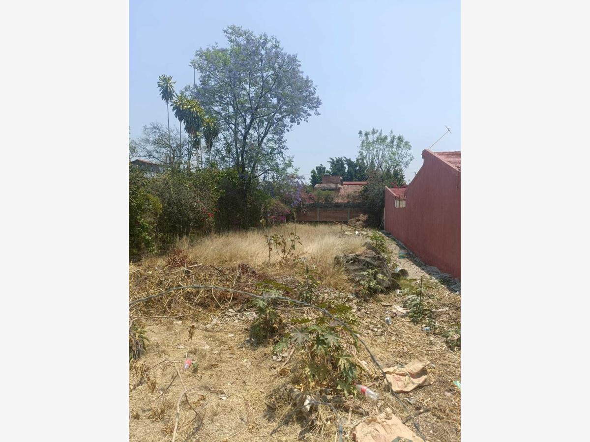 Terreno en venta en Las Fincas, Jiutepec — foto 1 de 3