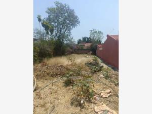 Terreno en venta en Las Fincas, Jiutepec — foto 2 de 3