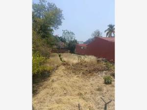 Terreno en venta en Las Fincas, Jiutepec — foto 3 de 3