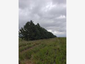 Terreno en venta en San Antonio de las Alazanas, Arteaga — foto 3 de 6