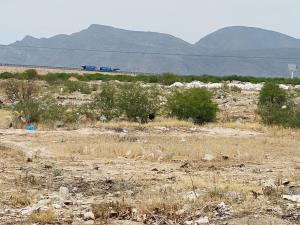 Terreno en venta en Villas Santa Cecilia, Matamoros — foto 3 de 7