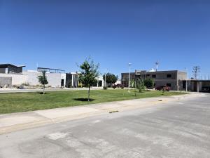 Terreno en venta en Los Olivos, Gómez Palacio — foto 3 de 11