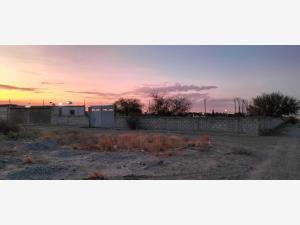 Terreno en venta en El Consuelo, Matamoros — foto 3 de 16
