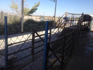 Terreno en venta en La Popular, Gómez Palacio — foto 3 de 10
