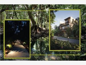 Casa en venta en Ciudad Mayakoba, Solidaridad — foto 3 de 20
