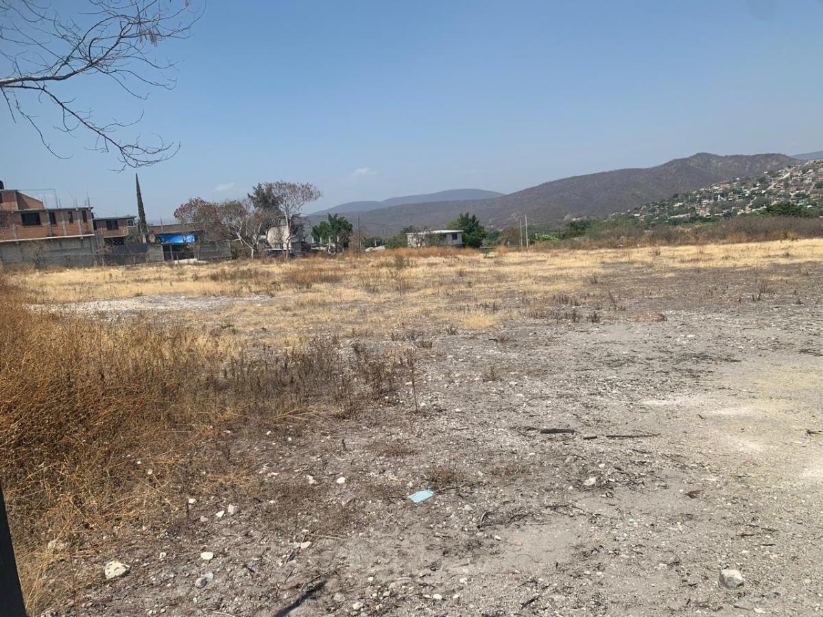 Terreno en venta en Bonifacio García (Colonia Alejandra), Tlaltizapán de Zapata