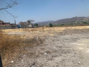 Terreno en venta en Bonifacio García (Colonia Alejandra), Tlaltizapán de Zapata, Morelos