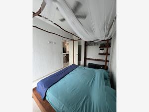 Departamento en renta en Los Olivos, Solidaridad — foto 2 de 14