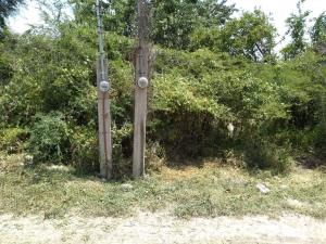 Terreno en venta en Ticumán, Tlaltizapán de Zapata — foto 3 de 4