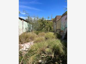Terreno en venta en Gomez Palacio Centro, Gómez Palacio — foto 2 de 8
