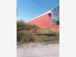 Terreno en venta en Jojutla Centro, Jojutla — foto 3 de 4
