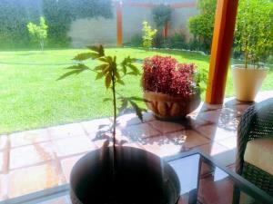 Casa en venta en Estrella, Torreón — foto 2 de 21