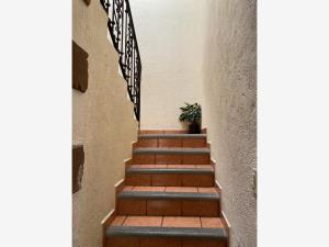 Casa en venta en Lomas de Ahuatlán, Cuernavaca — foto 3 de 11