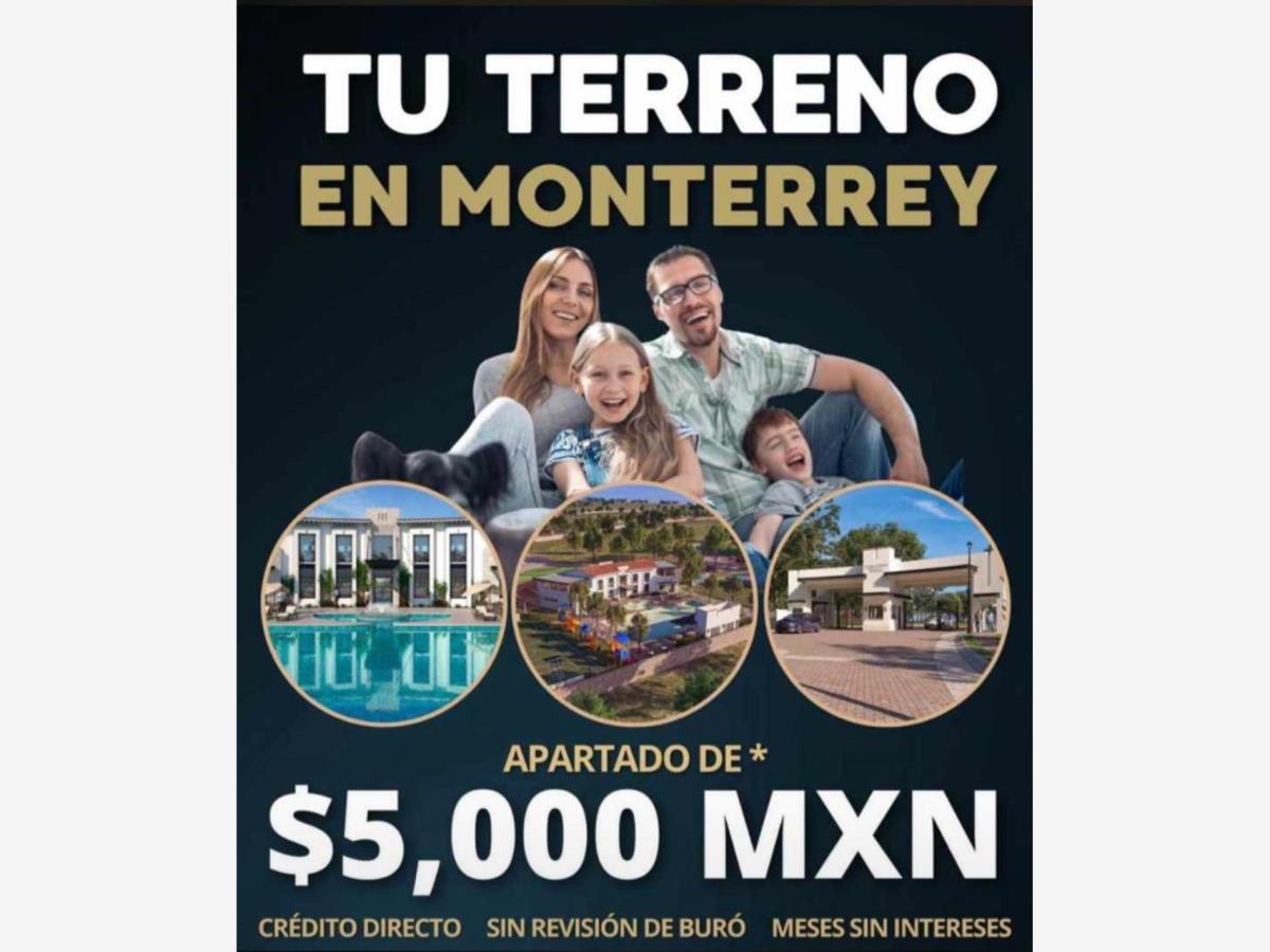 Imagen 5