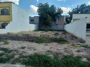 Terreno en venta en San Armando, Torreón — foto 3 de 10
