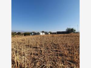 Terreno en venta en Yecapixtla, Yecapixtla — foto 2 de 8