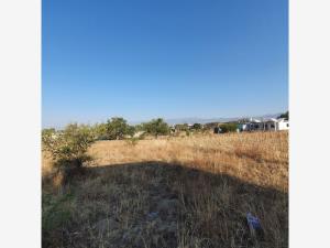 Terreno en venta en Yecapixtla, Yecapixtla — foto 3 de 8