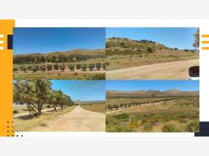 Terreno en venta en Rancho Viejo, Tecate — foto 2 de 2