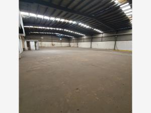 Bodega en renta en Las Amapolas, Veracruz — foto 2 de 7