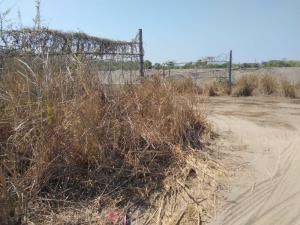 Terreno en venta en Mandinga y Matoza, Alvarado — foto 3 de 26