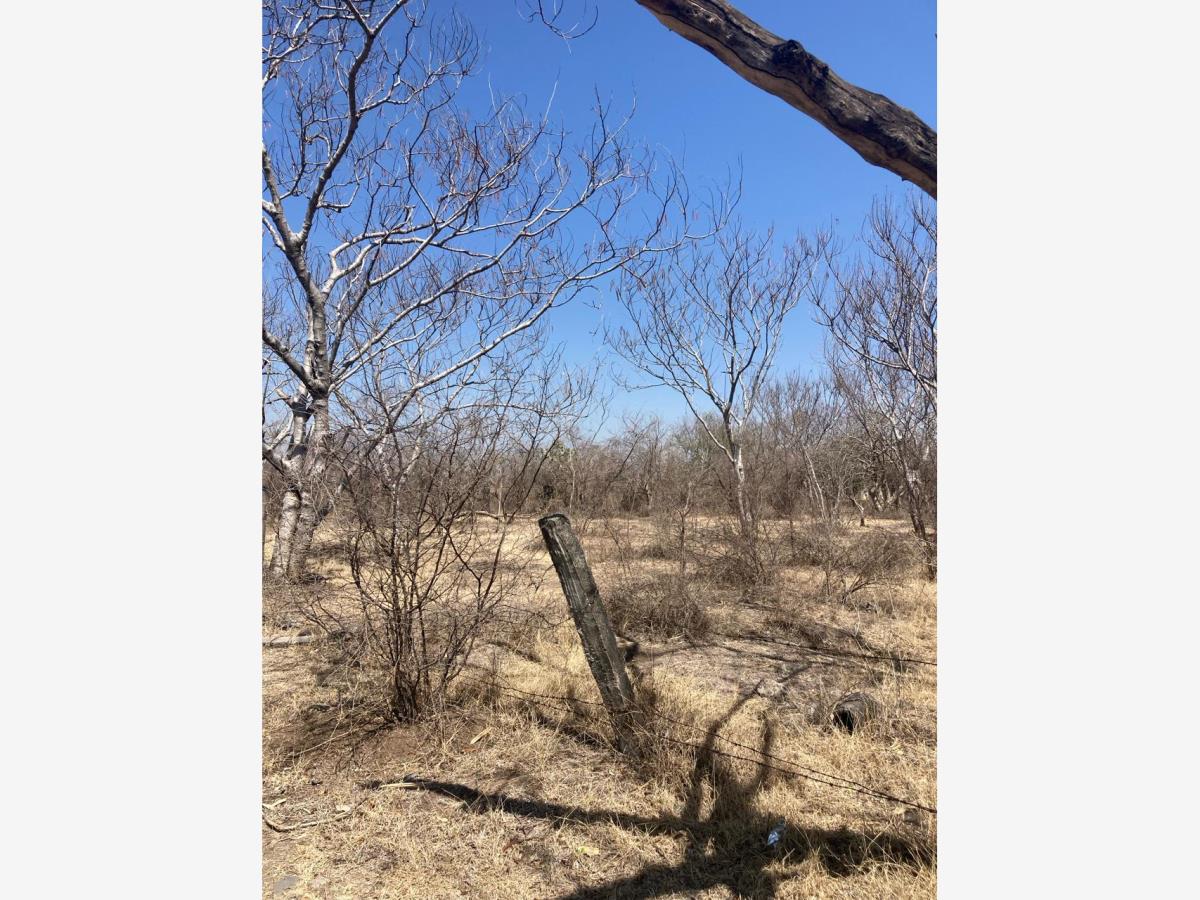 Terreno en venta en Tetelilla, Jonacatepec de Leandro Valle — foto 1 de 2
