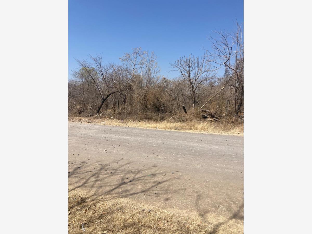 Terreno en venta en Tetelilla, Jonacatepec de Leandro Valle — foto 1 de 3
