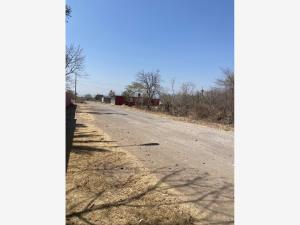 Terreno en venta en Tetelilla, Jonacatepec de Leandro Valle — foto 2 de 3