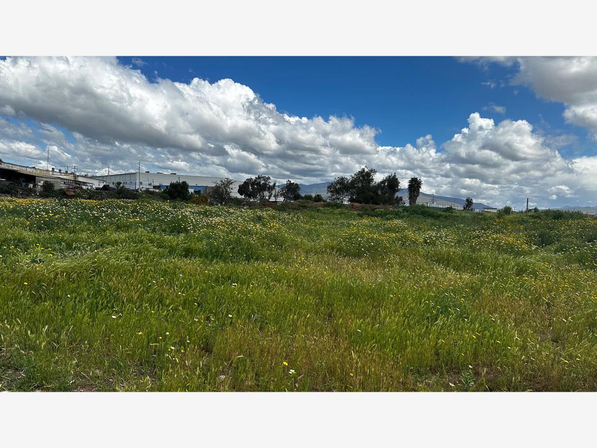Terreno en venta en Riberas del Alamar, Tijuana — foto 1 de 12