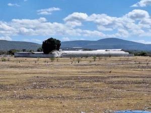 Finca-Rancho en venta en Zacapala, Zacapala — foto 2 de 32