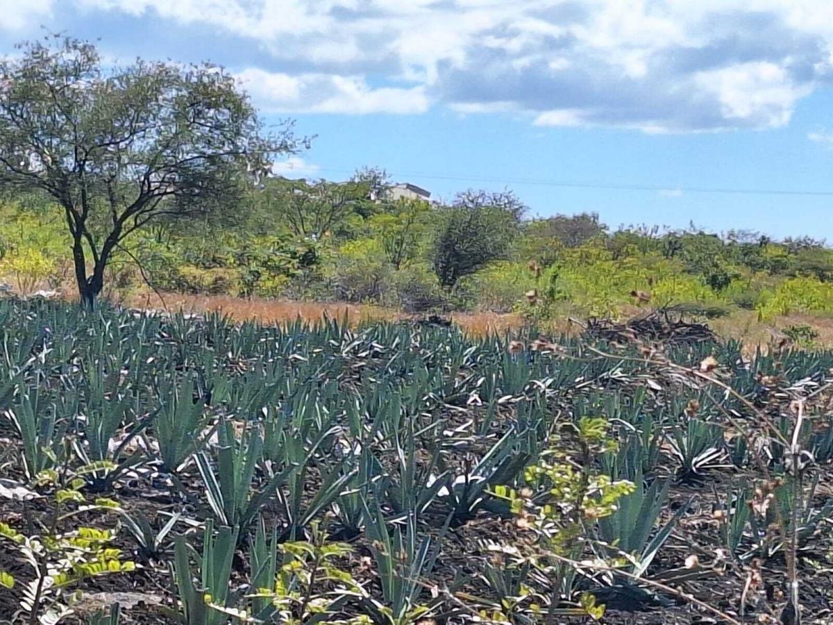 Finca-Rancho en venta en Zacapala, Zacapala — foto 1 de 32
