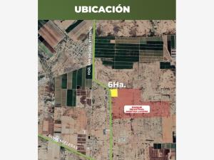 Terreno en venta en Mieleras, Torreón — foto 2 de 4