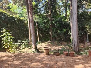 Casa en venta en Parque Nacional Bosque del Pedregal, Tlalpan — foto 2 de 38