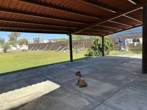 Terreno en venta en Los Sauces, Tlajomulco de Zúñiga — foto 3 de 25