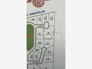 Terreno en venta en San Armando, Torreón — foto 3 de 5